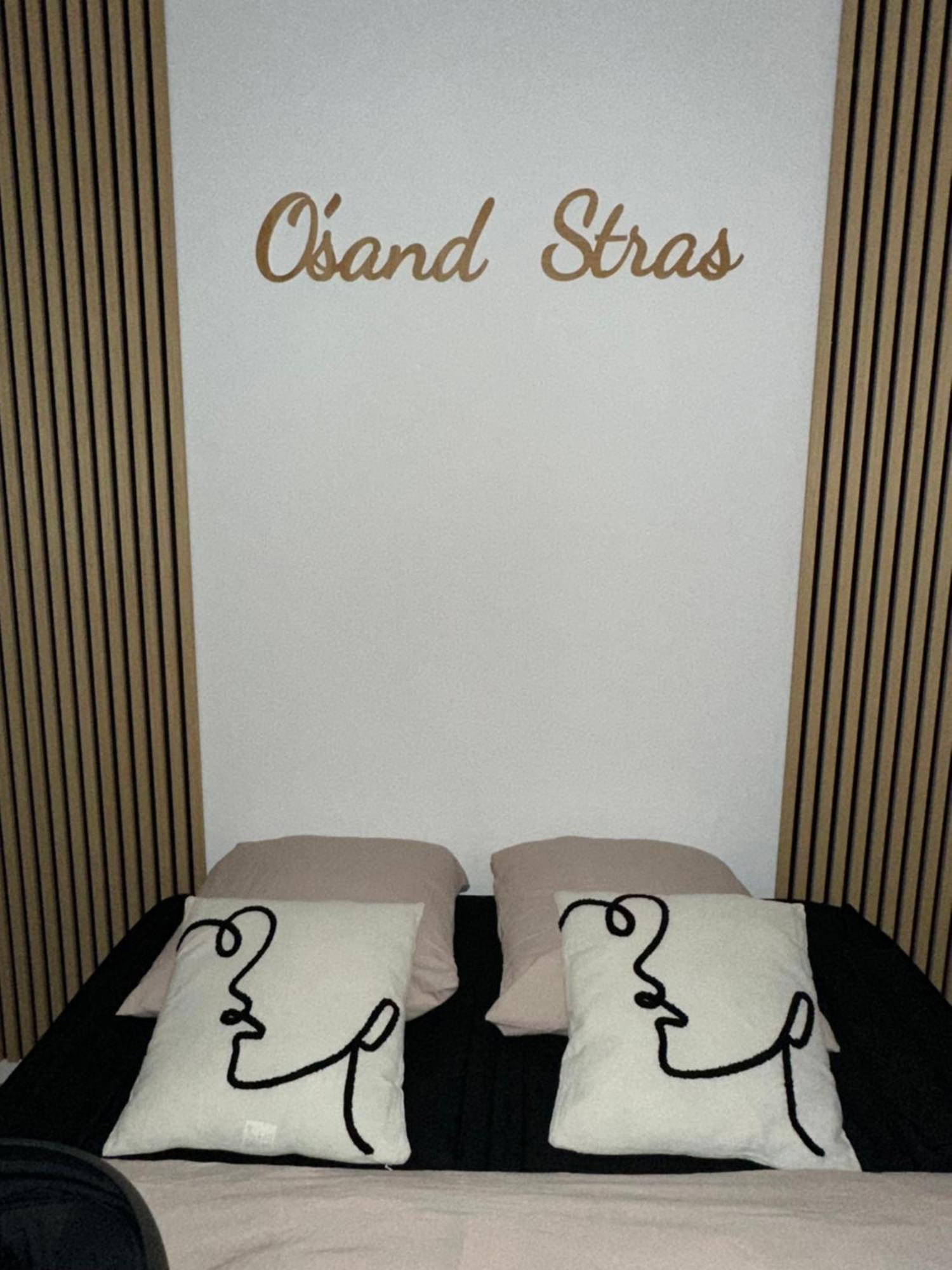 O Sand Stras Studio 25M Carre Strasbourg Exterior foto